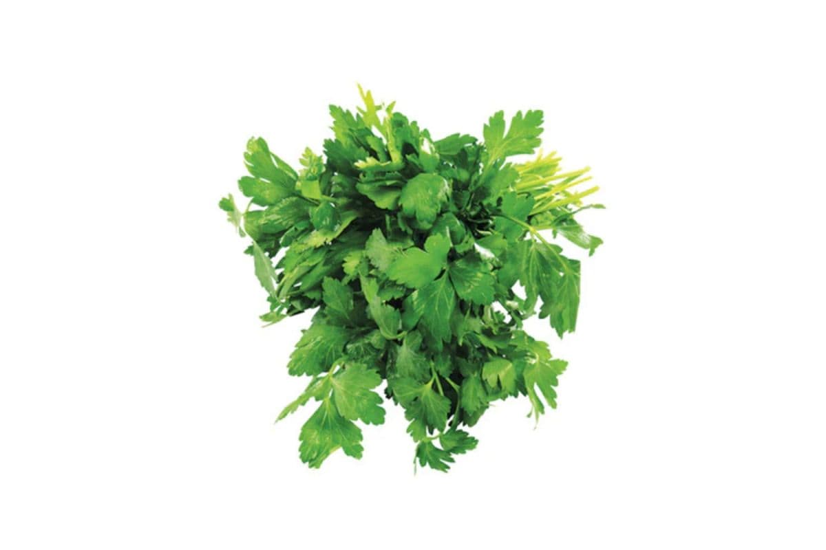 Fresh Bunched Italian Parsley (Jafari)