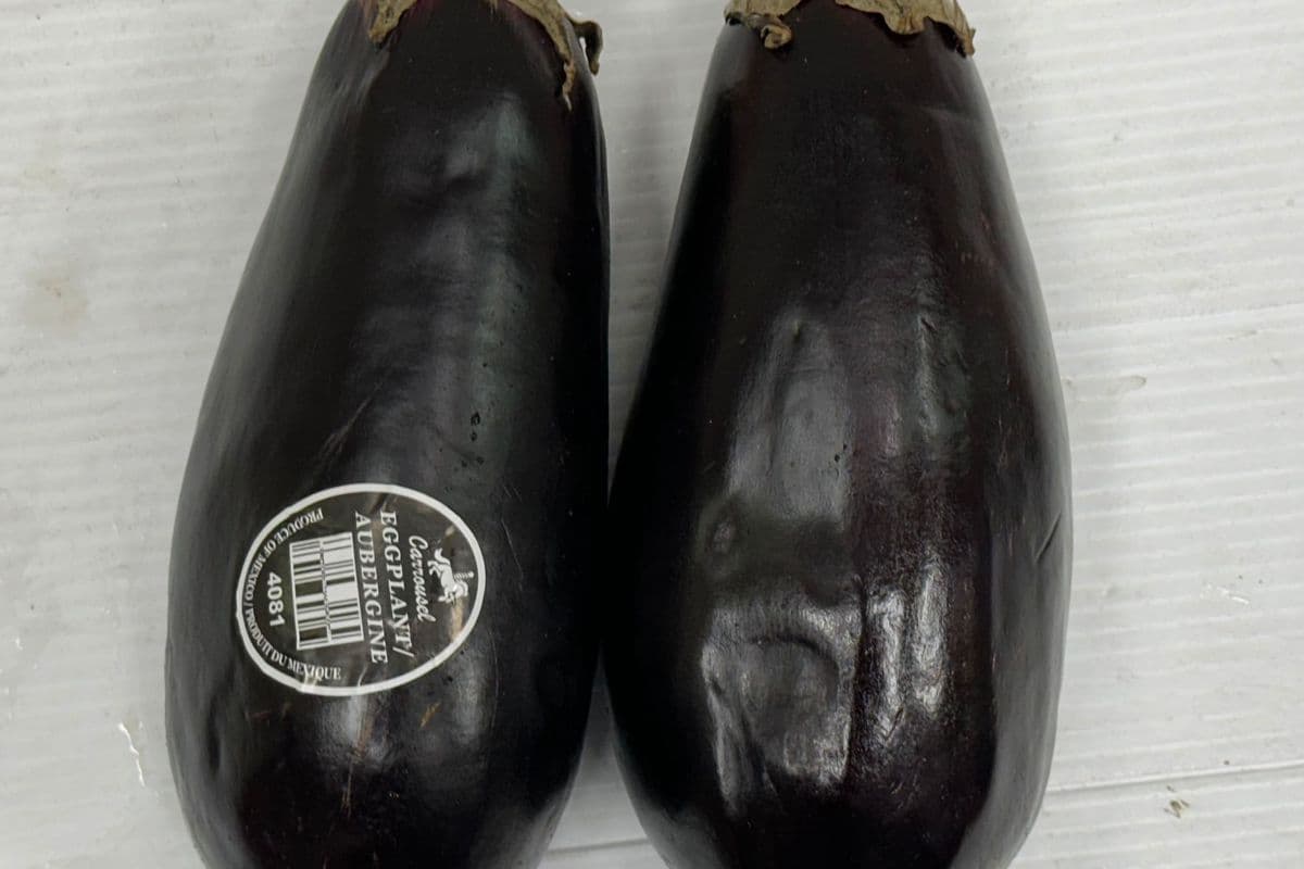 Big Eggplant $2.69/Lb (1 LB)