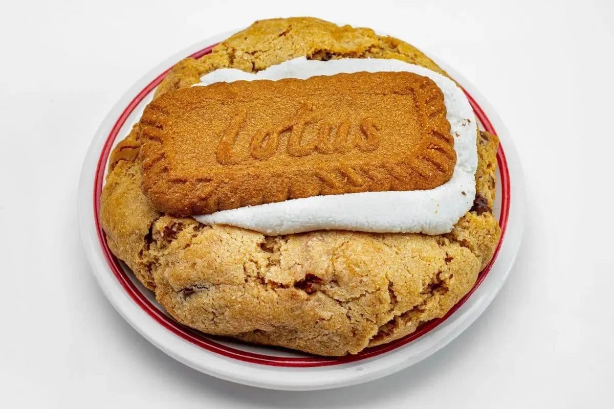 Lotus (Biscoff) Cookie