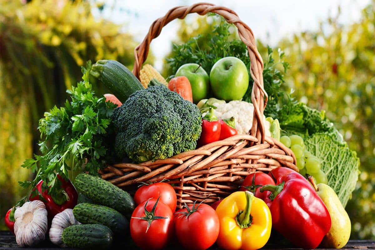 Homemade Hot Sauce (Fresh Vegetables & Herbs)