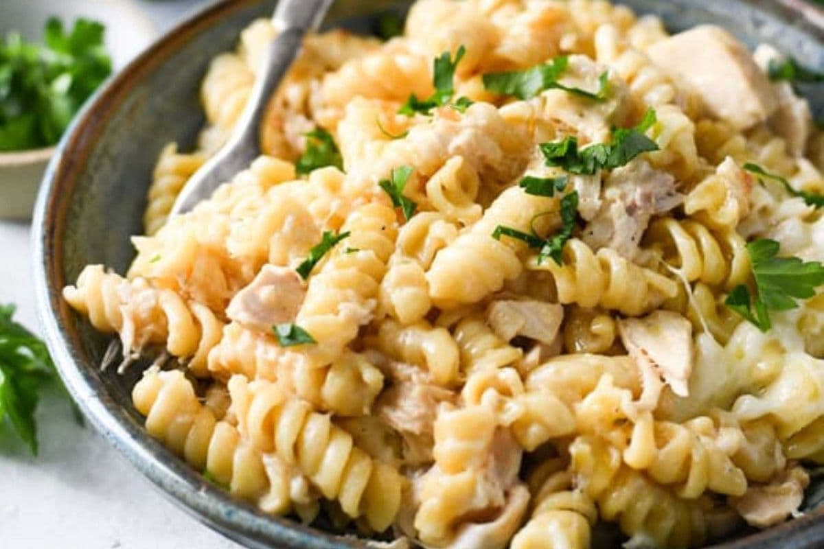 Chicken Alfredo Pasta