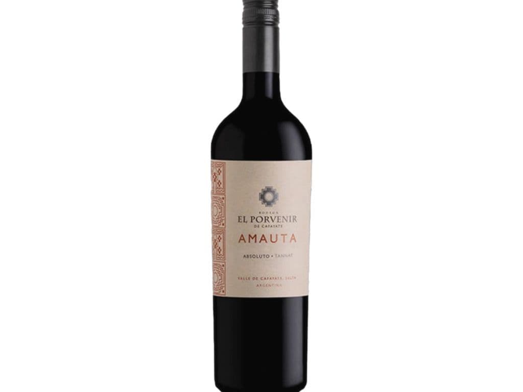 El Porvenir Amauta Absoluto - Tannat