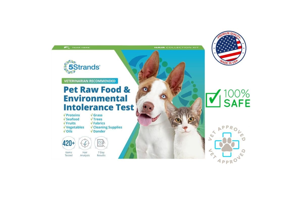 5Strands Pet Raw Food and Environmental Intolerance Test Kit