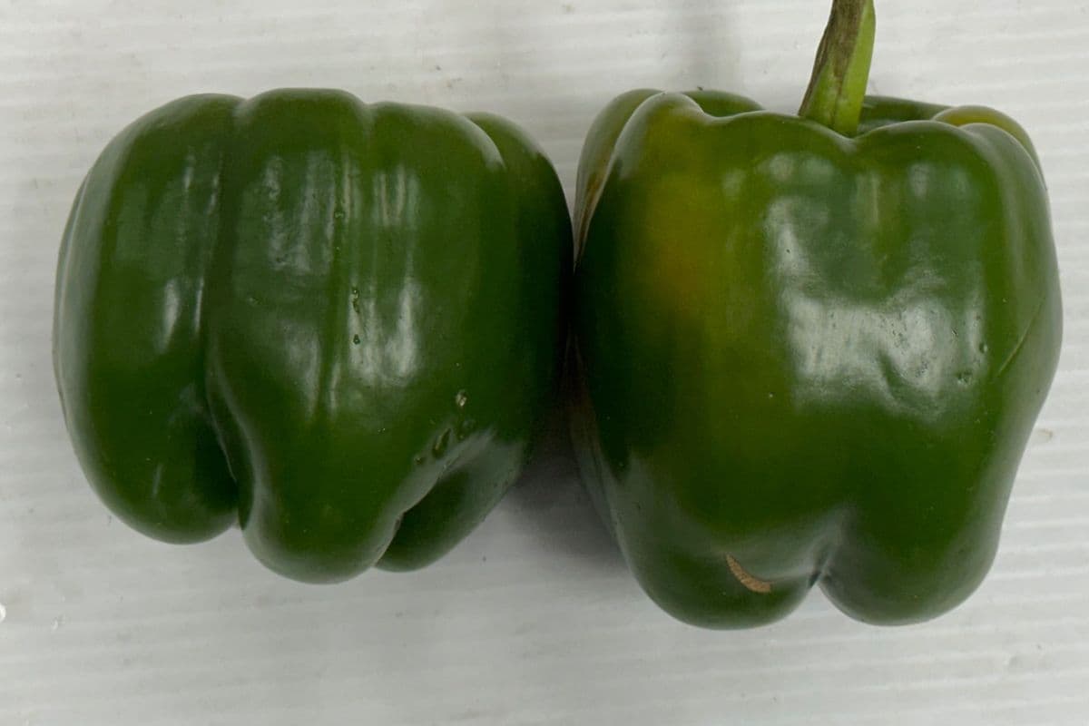 Green Peppers $2.99//Lb (1lb)