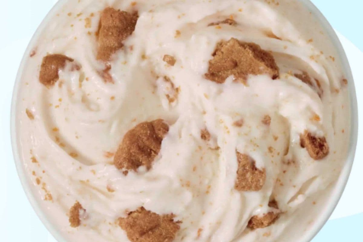Dessert BlizzardMD Biscuits Biscoff/Biscoff Cookie Blizzard