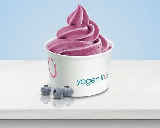 Blueberry Frozen Yogurt 
