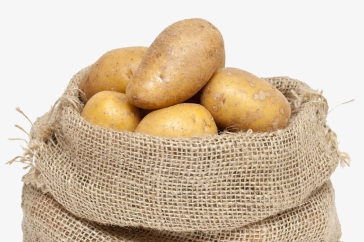 Patates/Potatoes