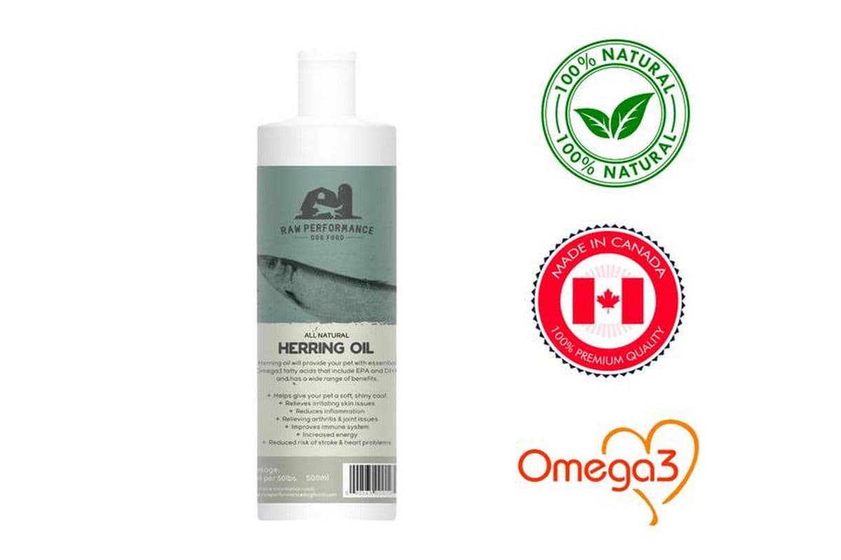 Raw Performance - Herring Oil Dog (500 ml)