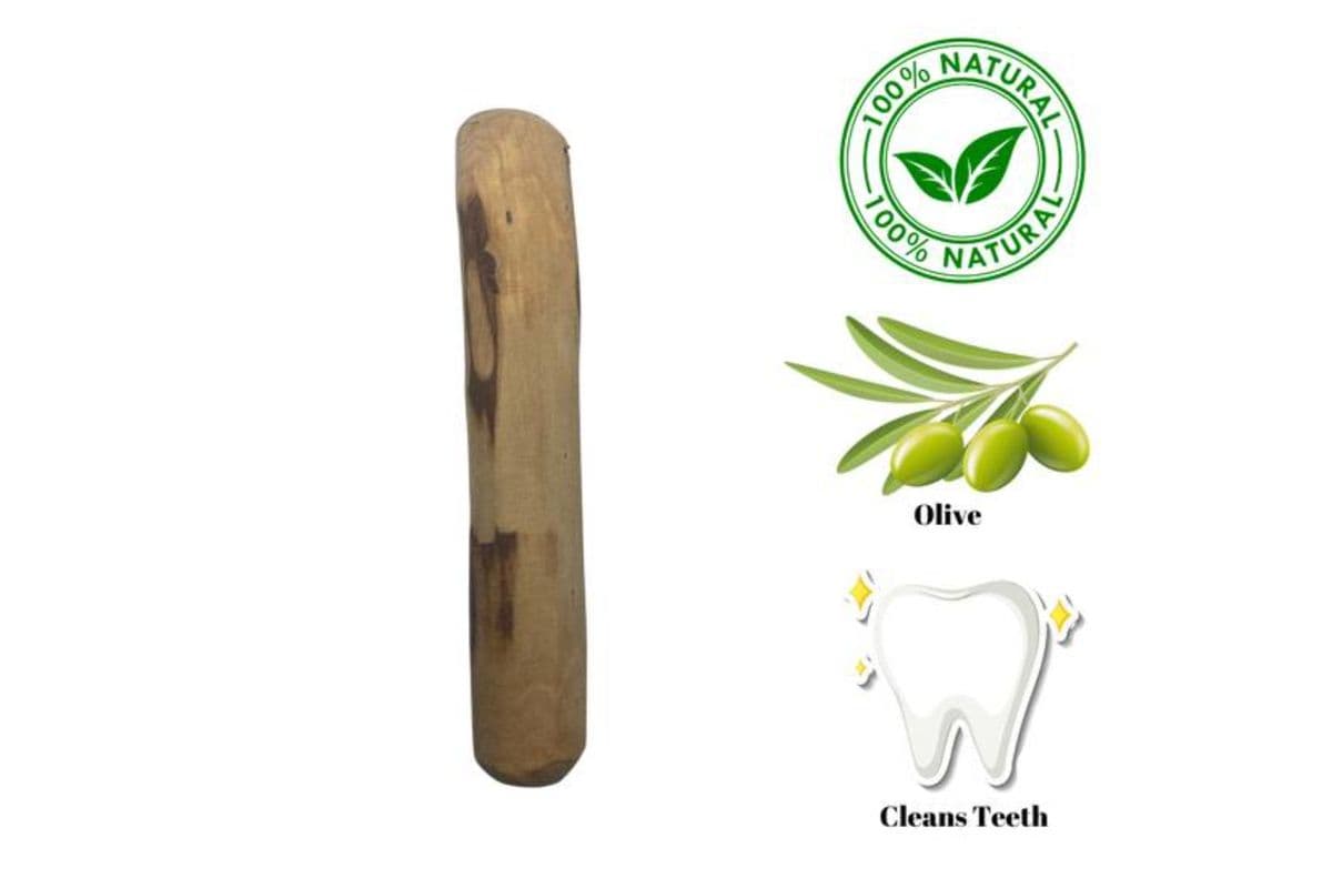 Zaytoon - Olive Wood Dog Chew - Medium