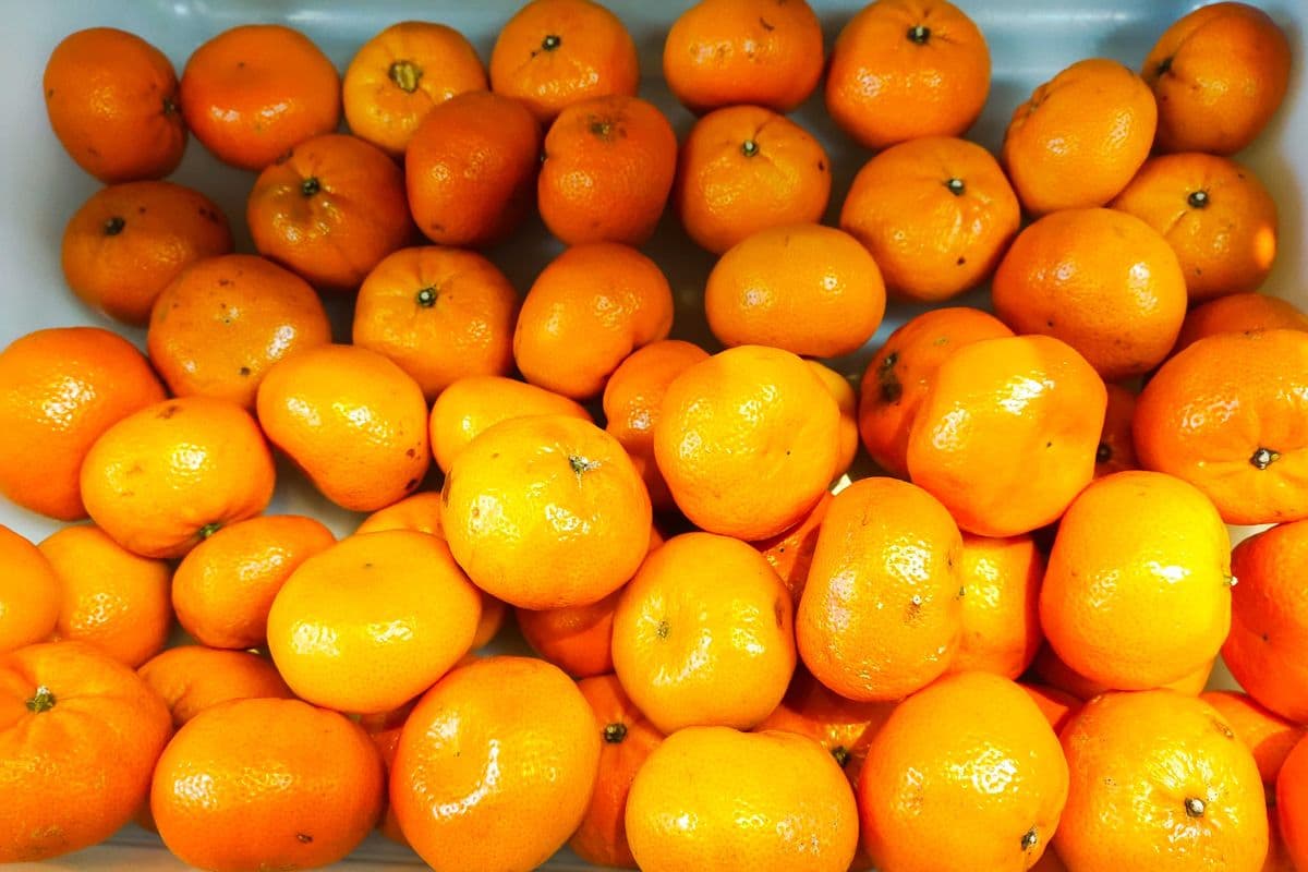Clementines 2.69/lb (1 LB)