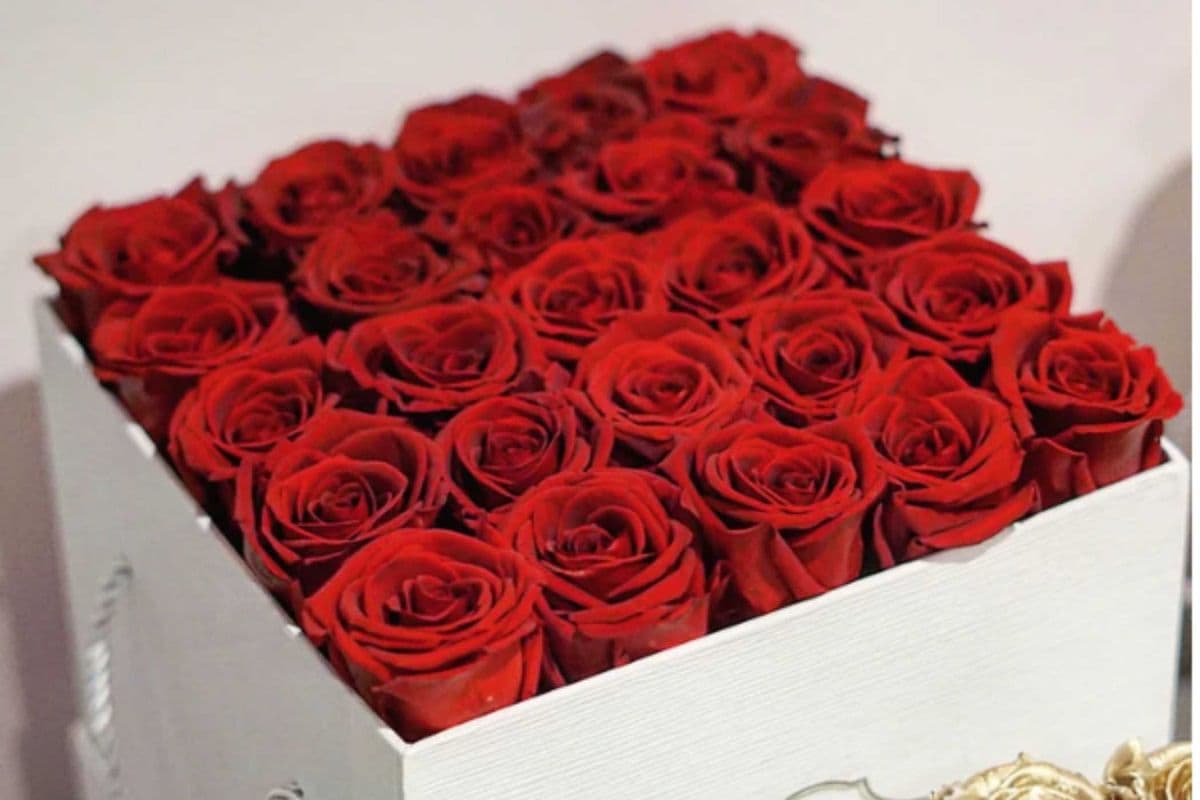 Prestige Rose Square Box