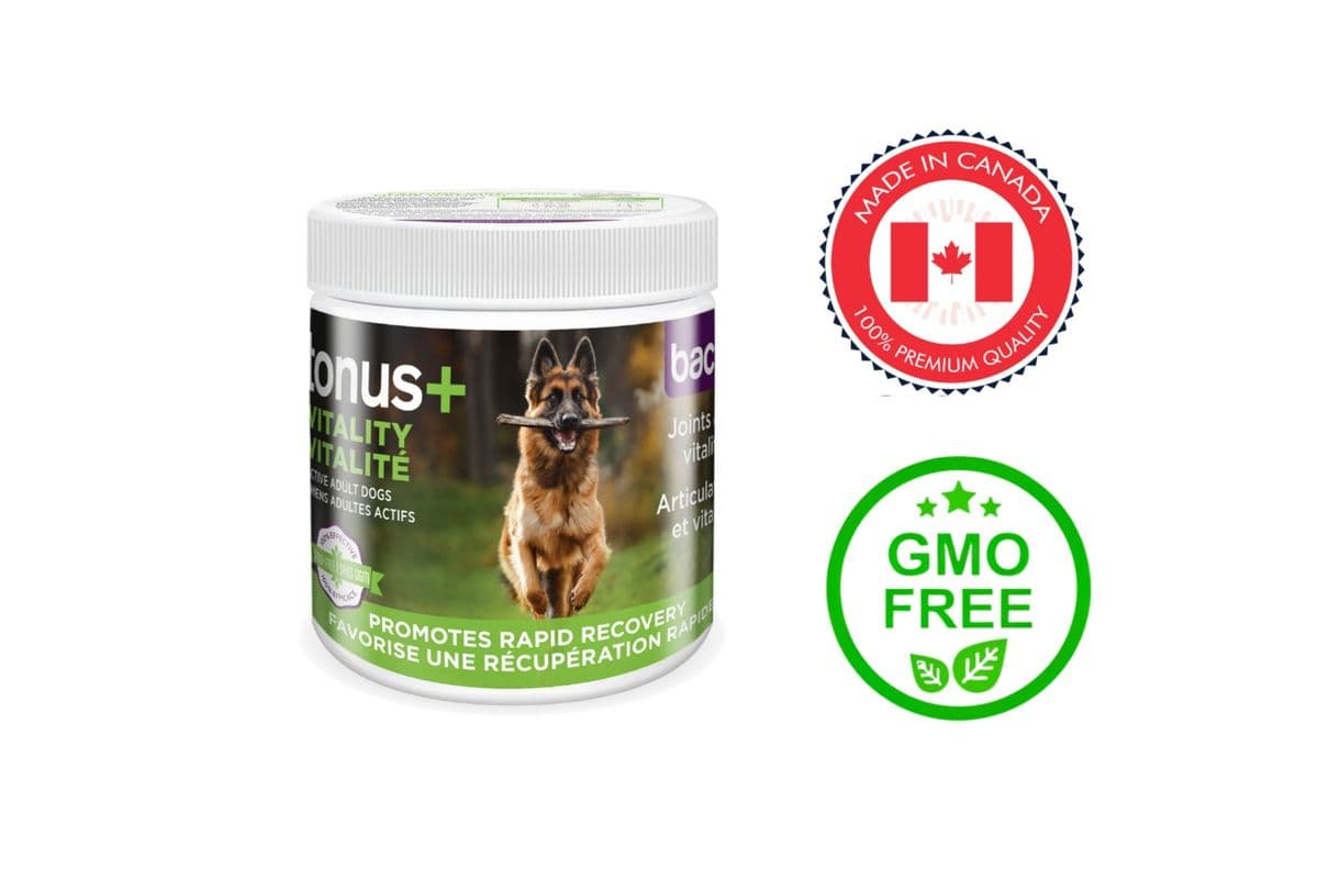 Baci+ Tonus+ Vitality for Active Adult Dogs (250 g)