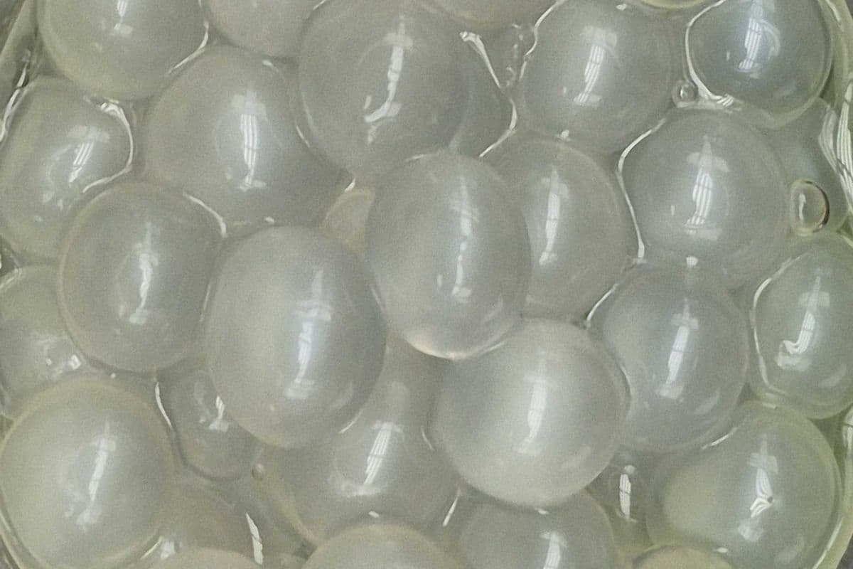 Lychee Popping Ball