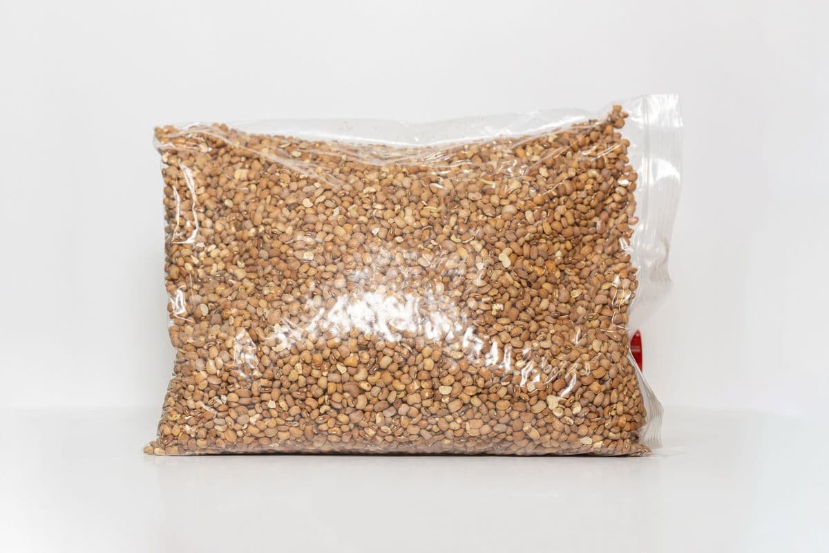 Brown Beans (10 lbs) Uncooked