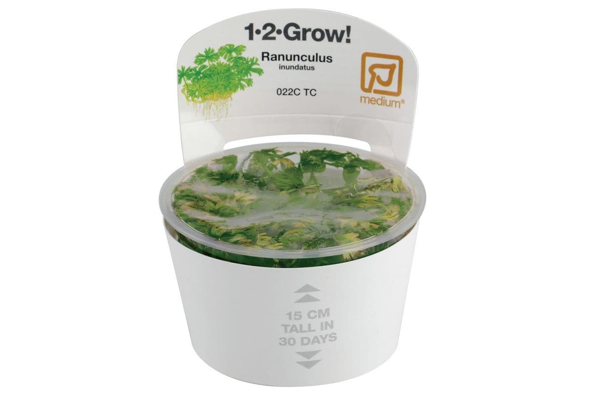 Tropica 1-2-Grow Live Plant - Ranunculus Inundatus
