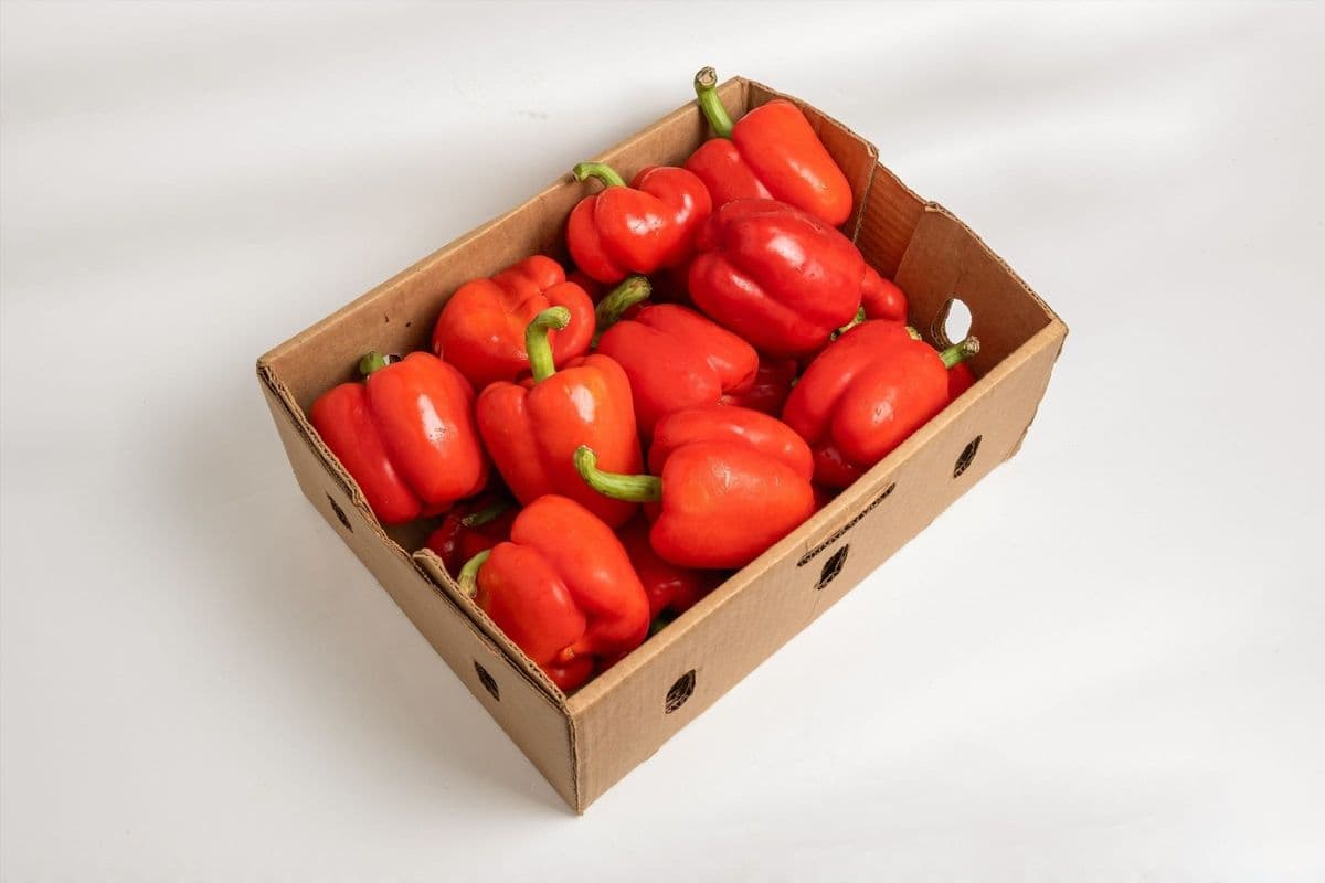 Fresh Red Bell Peppers – Full Box (12 lbs)