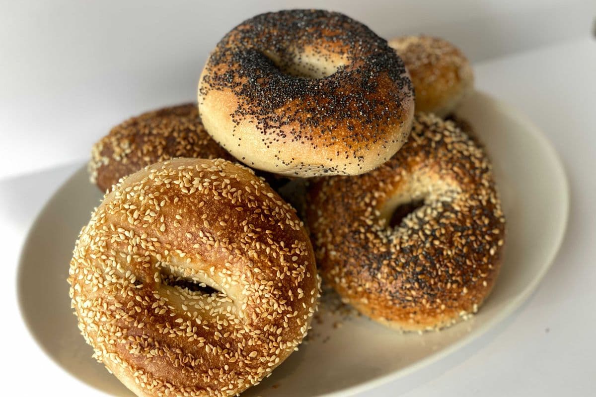 Half Dozen Regular Bagels