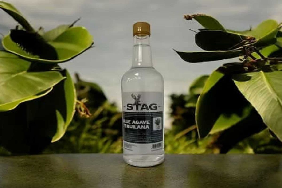 STAG TEQUILA (1 x 750ML)