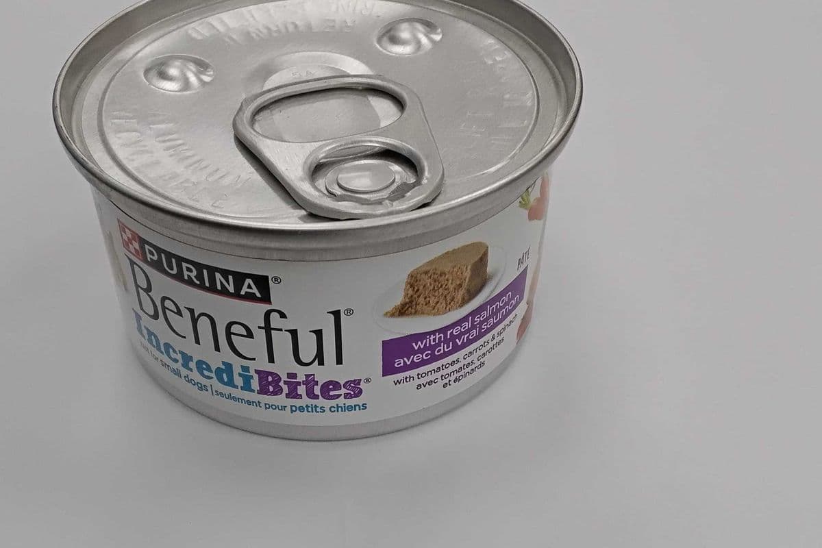 Purina beneful with real salmon (85g)