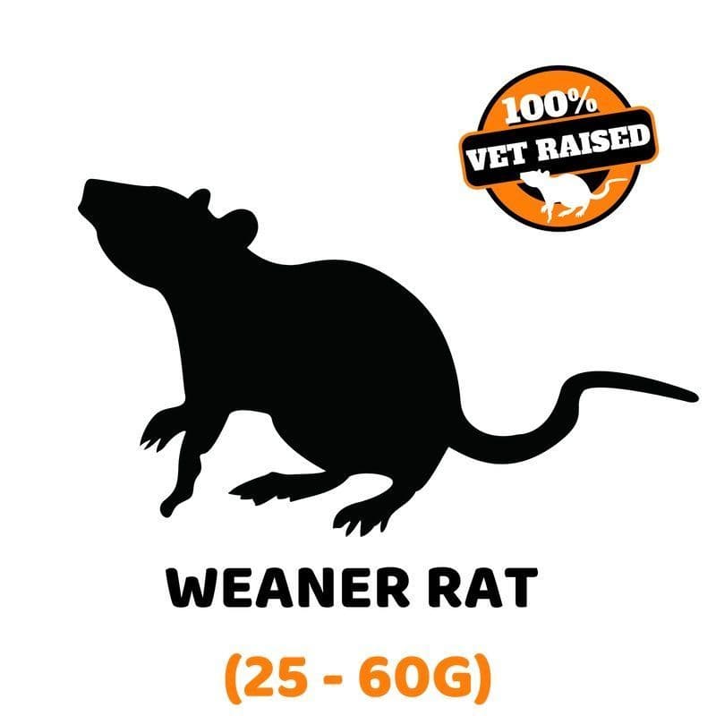 Exotic Feeders Whole Prey Frozen Feeder Weaner Rat