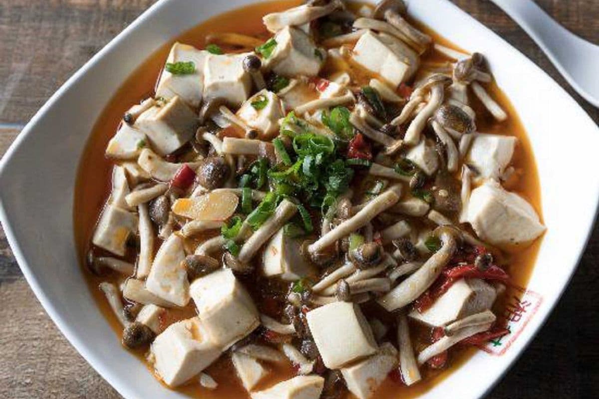 Braised Tofu with Fresh Mushrooms 野山菌烩豆腐