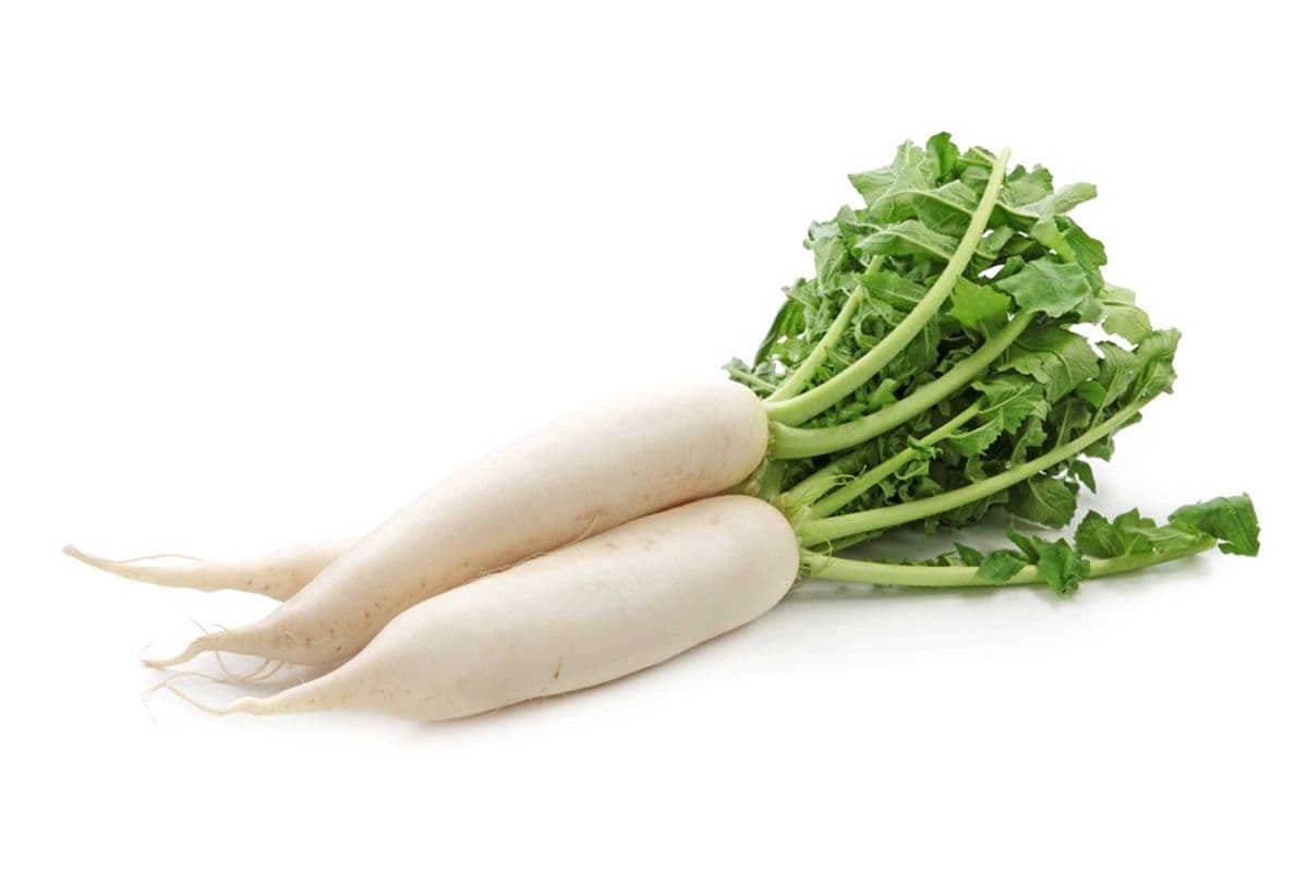 Radis Daikon / Daikon radish (kg)