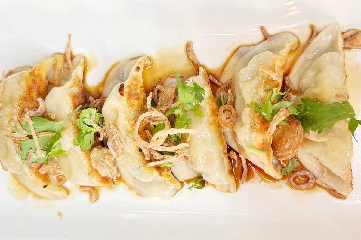 A6_Gyoza