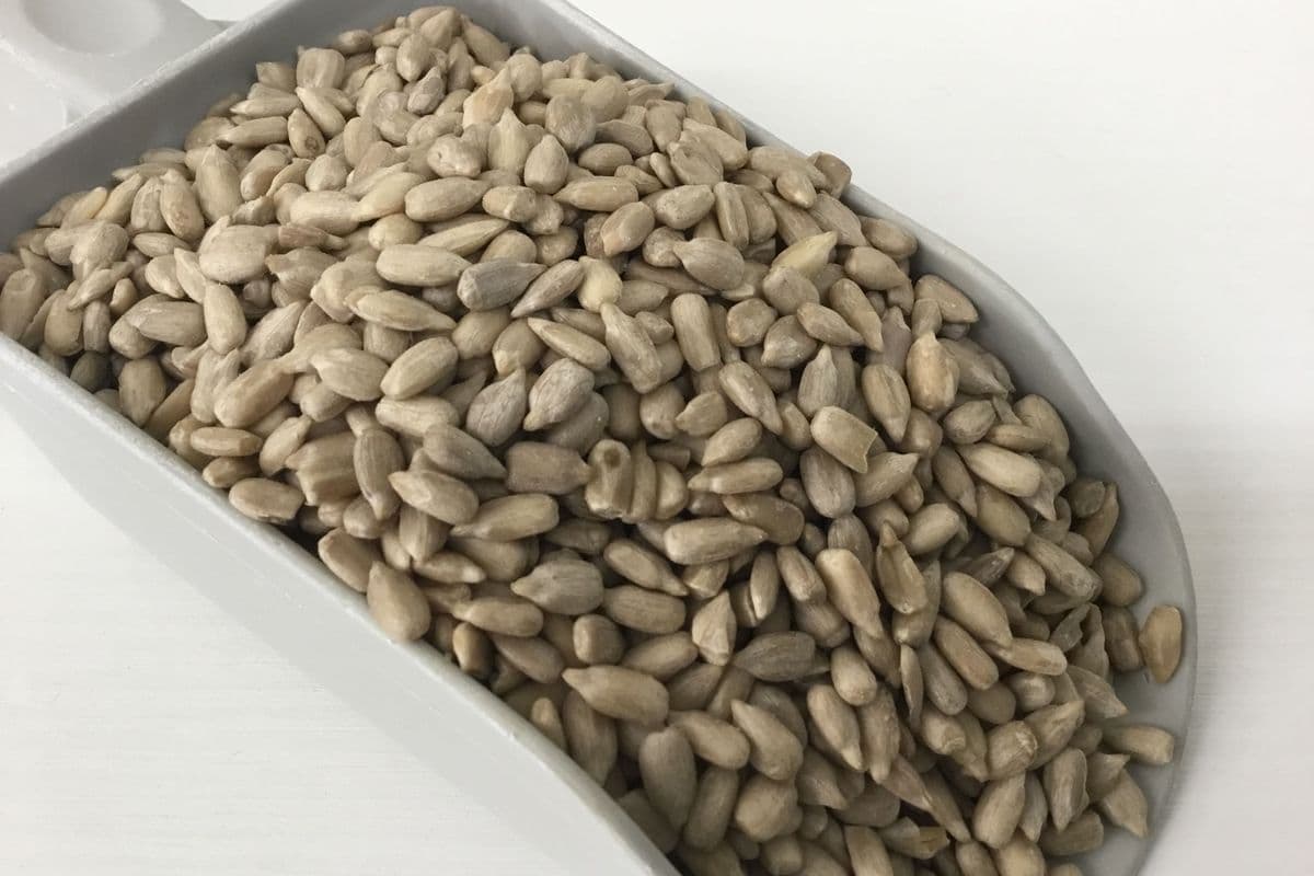 Sunflower Seeds, Hulled (Organic) (1 Cup/200 g)