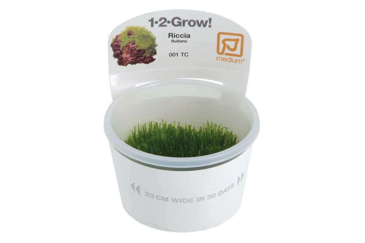 Tropica 1-2-Grow Live Plant - Riccia Fluitans
