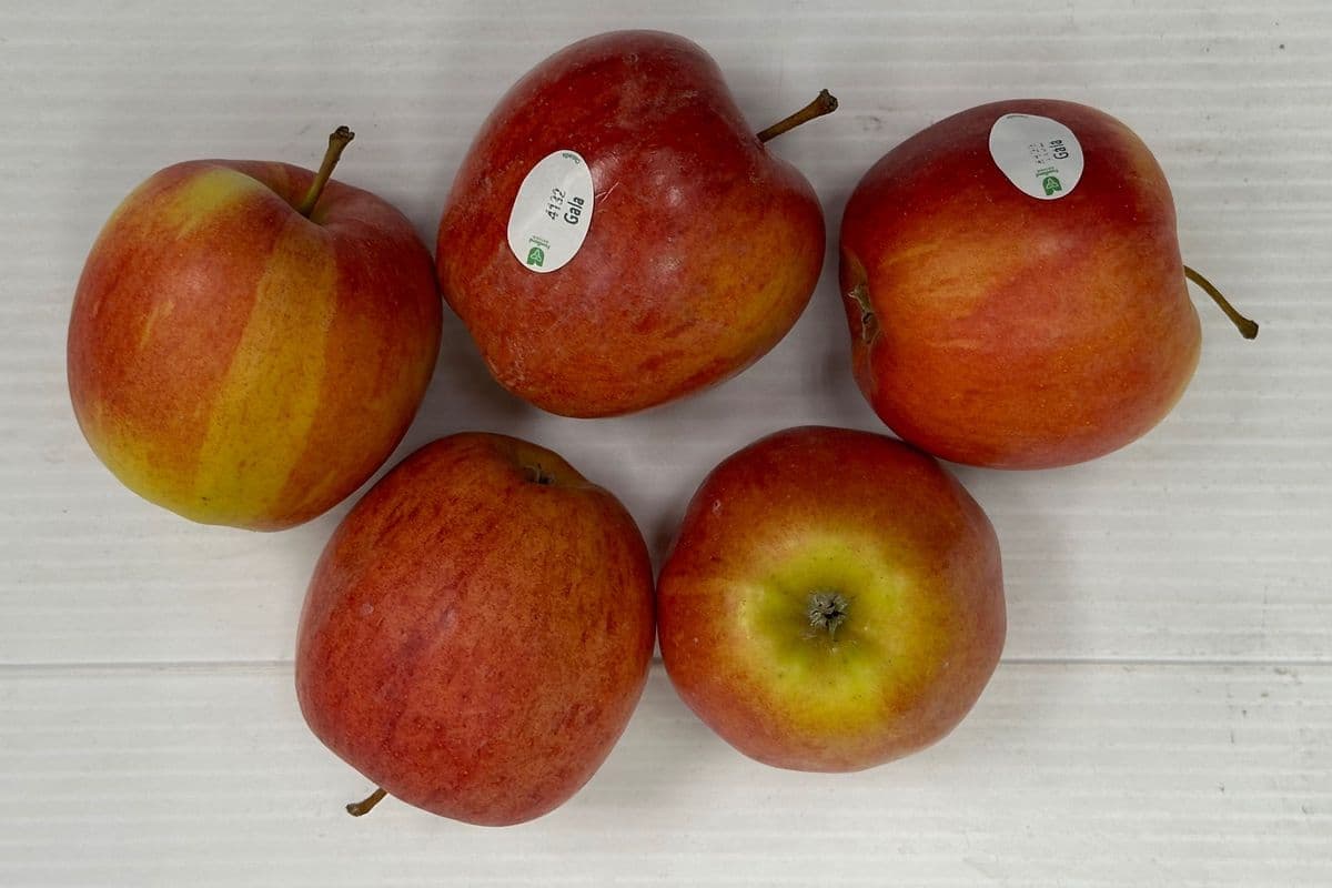 Royal Gala Apples 1.99/lb (1 LB)