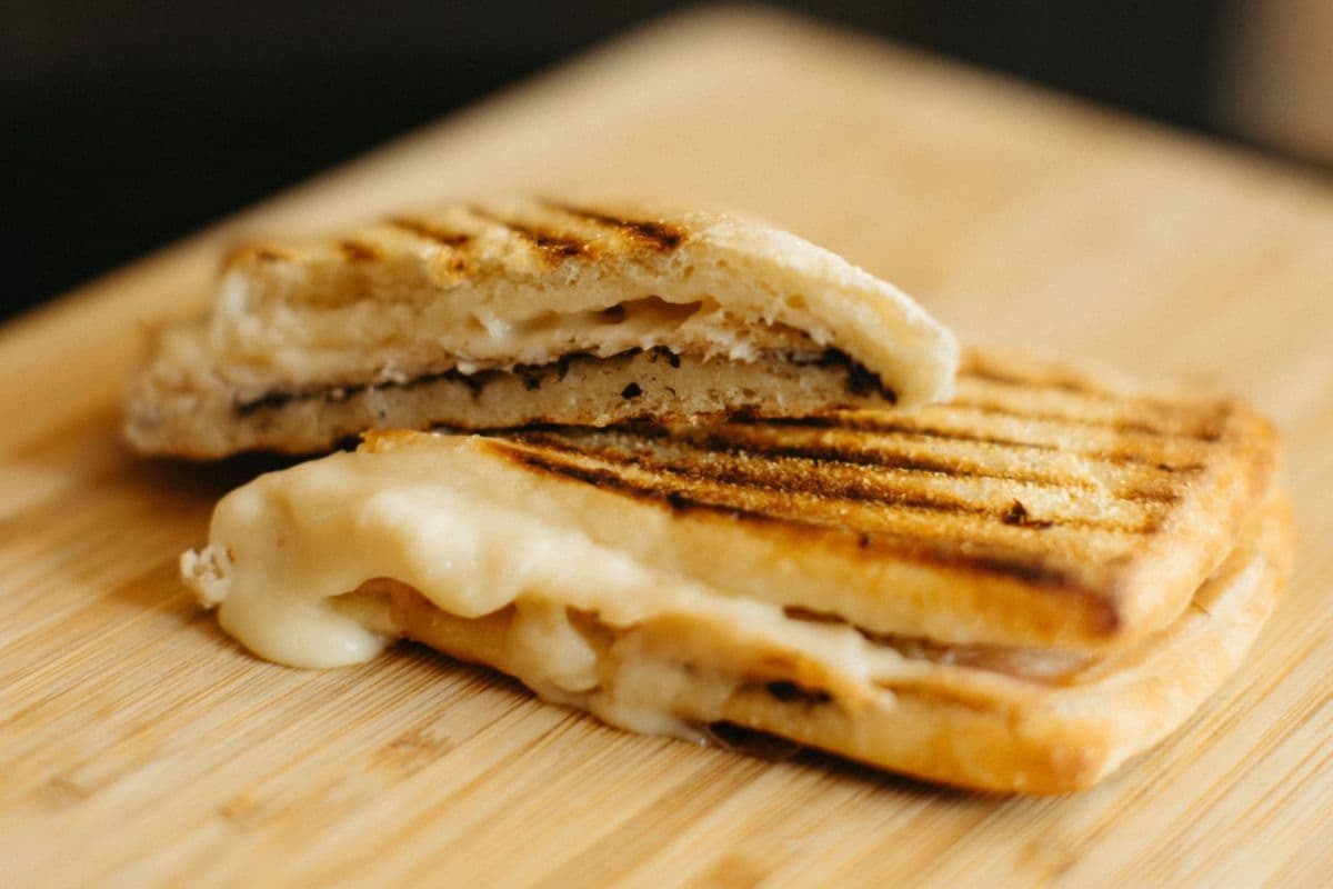 Turkey and Mozzarella Panino