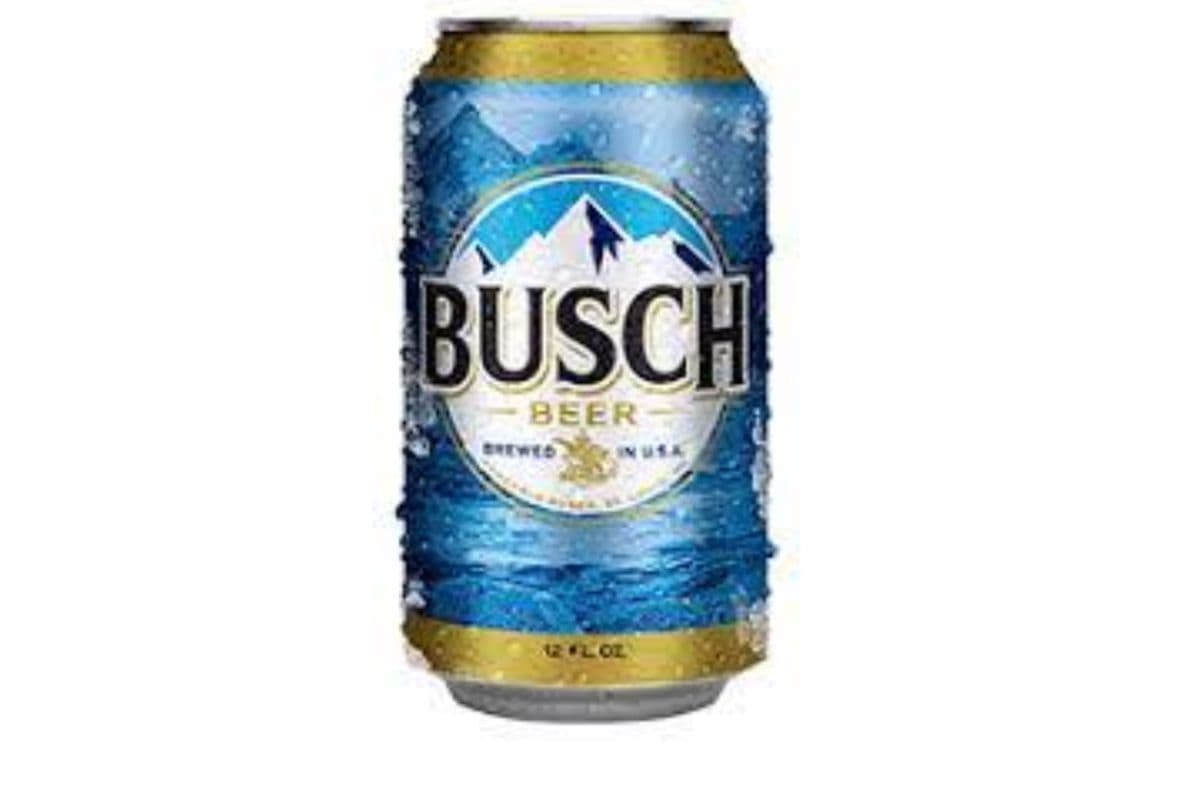 Busch (15 x 355ml can)