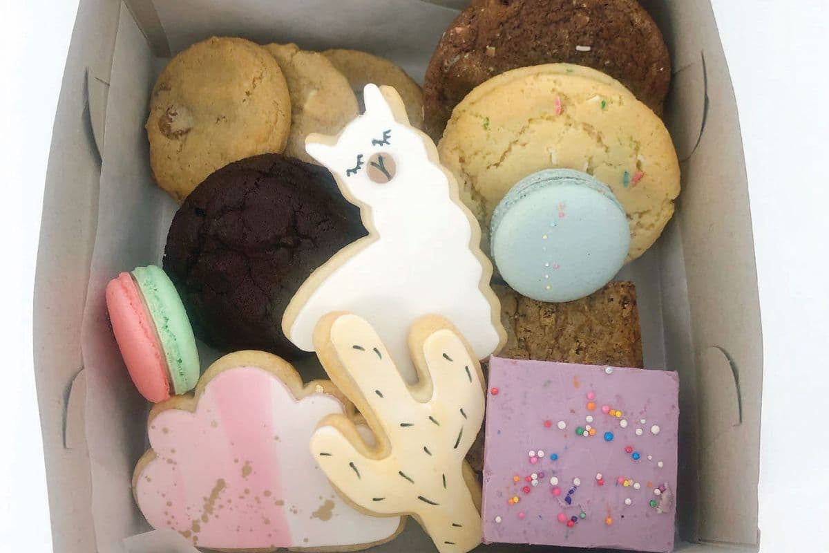 Mega Treat Box