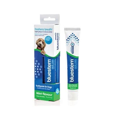 Bluestem Oral Care Toothpaste With Coactiv+ Vanilla Flavor For Dogs & Cats 70 g
