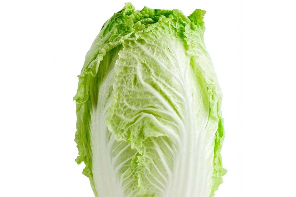 Choux nappa (kg) / Nappa Cabbage (kg)