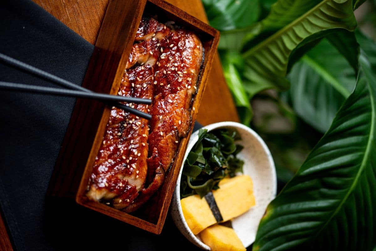 Unagi Don