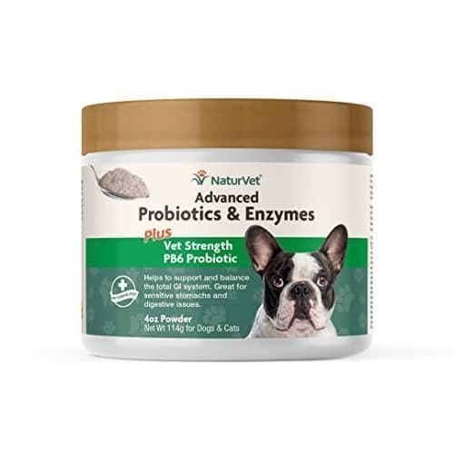 NaturVet Advanced Probiotics & Enzymes Powder For Dogs & Cats 4 oz