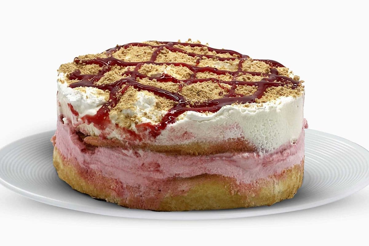 Gâteau Crème Glacée Double Fraise / Double Strawberry Ice Cream Cake