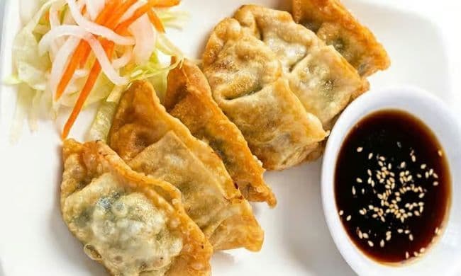 E8. Dumpling au Poulet/Legumes