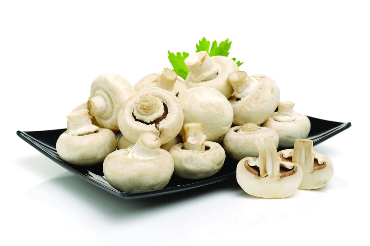 Mushrooms (1 Pack) (Small or medium)