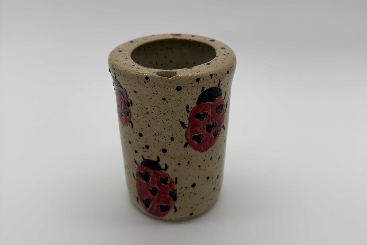 Ladybug to go tumbler