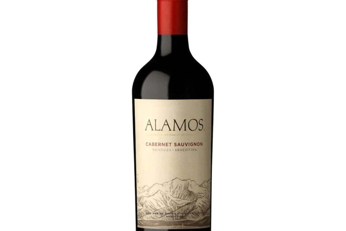 Alamos Cabernet Sauvignon Wine, 2017 (750 ml) (1 x 750 ml)