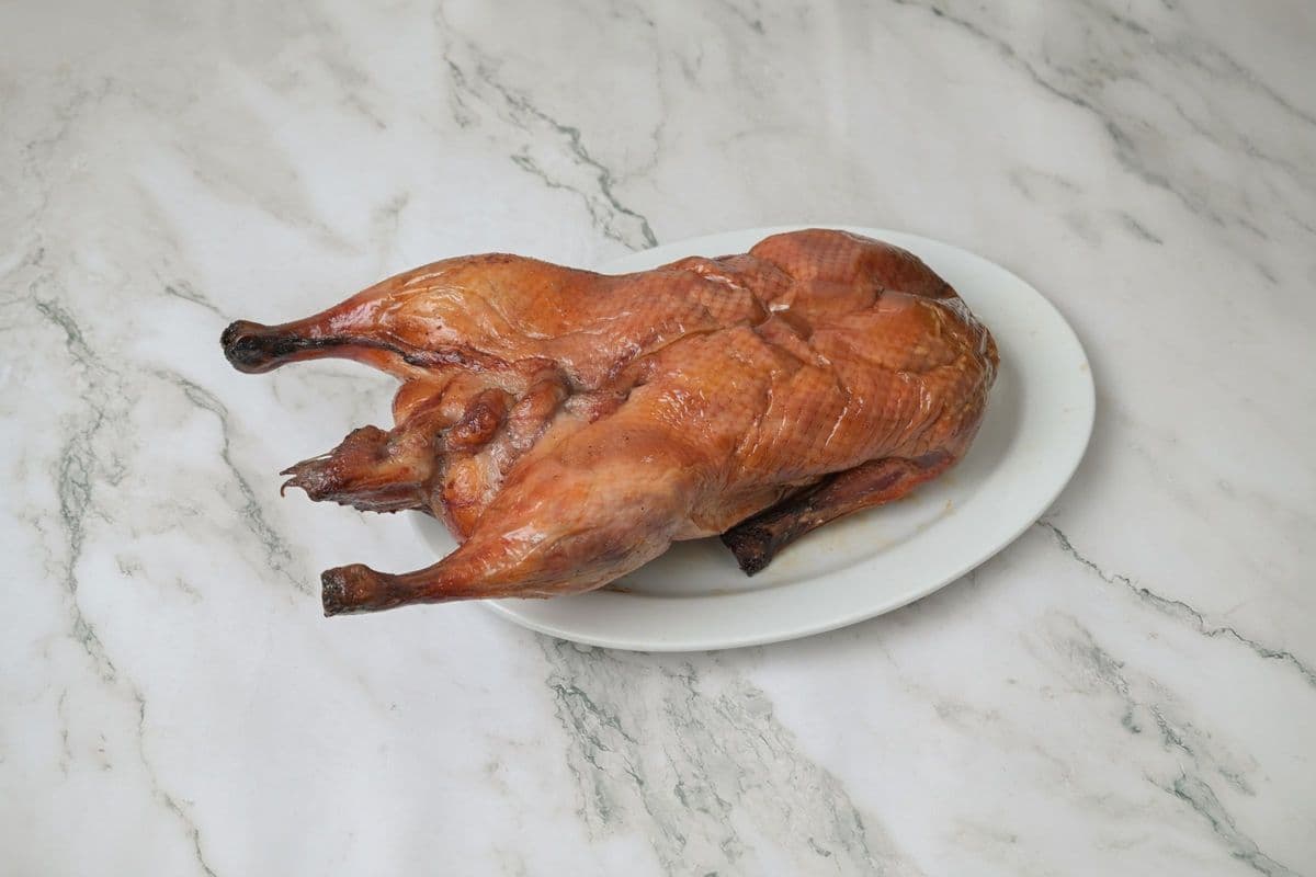 Duck (Full)