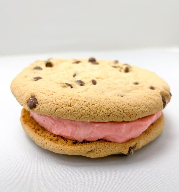 Ice Cream Sandwich
