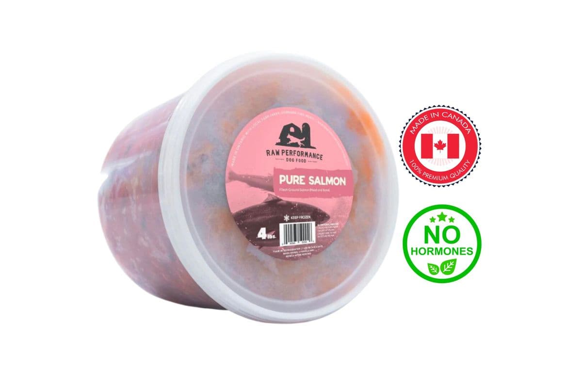 Raw Performance Pure Salmon Raw Dog Food (4 lbs)