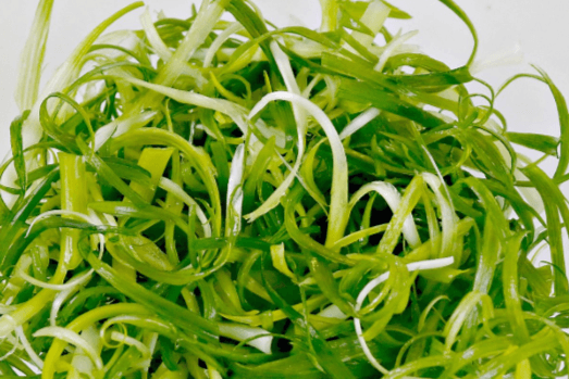 Green Onion