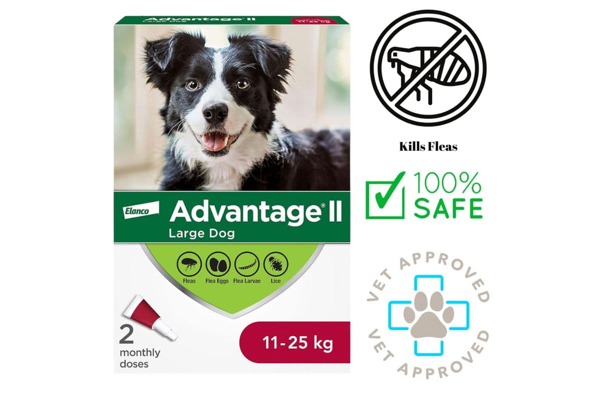 Advantage II Flea & Tick Medicine Large Dogs (11-25 Kg)