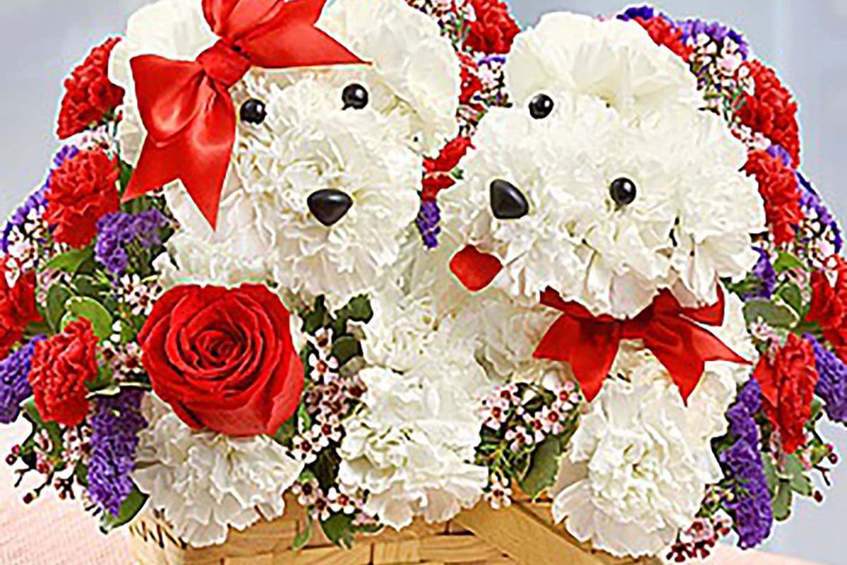 Holiday Puppy Love for 2