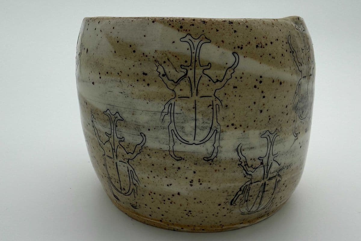 Beetle bowl
