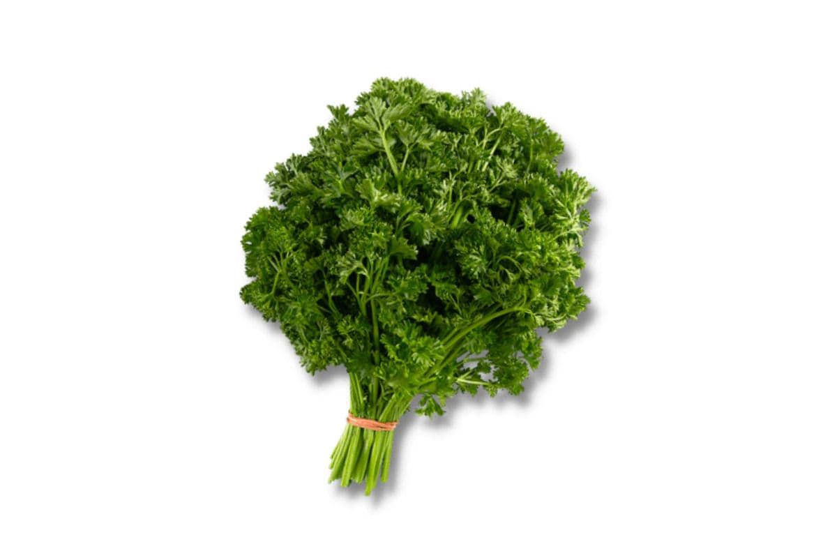 Curly Parsley